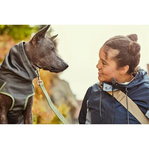 Hurtta Razzle-Dazzle Blackberry 4 Hurtta Razzle-Dazzle Blackberry - Image 2