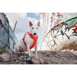 Hurtta Weekend Warrior Eco Geschirr 9 Hurtta Weekend Warrior Eco Geschirr -Günstiges Bellohaus Geschäft hurtta weekend warrior eco harness 189132 0500 none