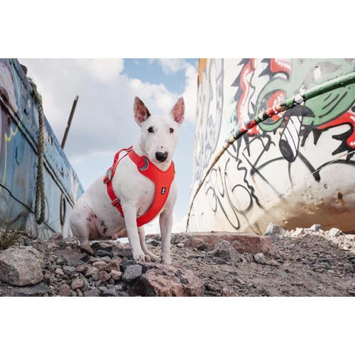 Hurtta Weekend Warrior Eco Geschirr 4 Hurtta Weekend Warrior Eco Geschirr - Image 2