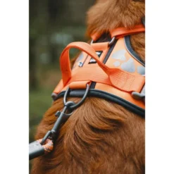 Hurtta Weekend Warrior Geschirr -Günstiges Bellohaus Geschäft hurtta weekend warrior harness 189096 0500 none