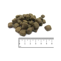 ICEPAW Adult Pure -Günstiges Bellohaus Geschäft icepaw adult pure 221026 0500 none