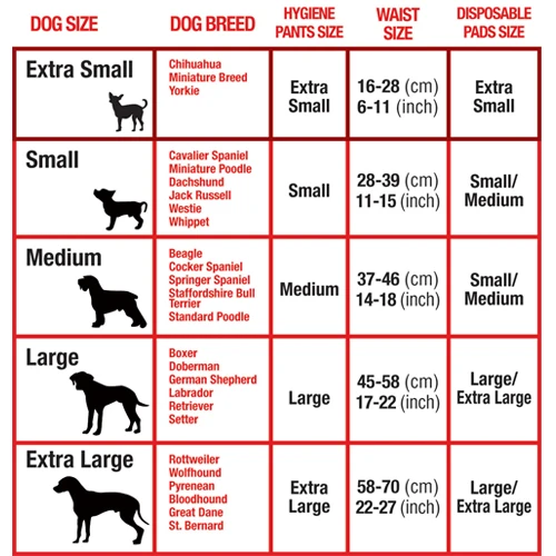 Mikki Läufigkeitshose 5 Mikki Läufigkeitshose - Image 3