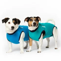 Jacketz Medical Body Suit Für Hunde -Günstiges Bellohaus Geschäft jacketz medical body suit hond 209516 0500 none