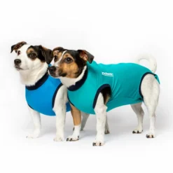 Jacketz Medical Body Suit Für Hunde -Günstiges Bellohaus Geschäft jacketz medical body suit hond 209519 0500 none