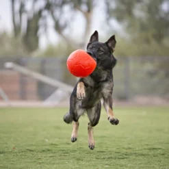 Jolly Soccer Ball -Günstiges Bellohaus Geschäft jolly soccer ball 162241 0500 none