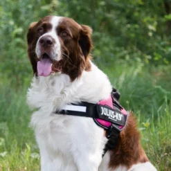 Julius K9 IDC Powergeschirr -Günstiges Bellohaus Geschäft julius k9 idc powertuig 192695 0500 none