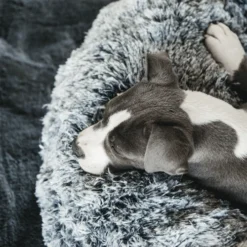 Kentucky Dogwear - Comfort Donut-Hundekorb -Günstiges Bellohaus Geschäft kentucky dogwear comfort donut hondenmand 219723 0500 none