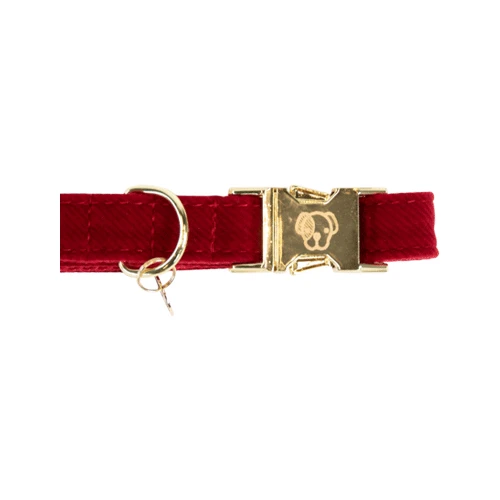 Kentucky Dogwear Corduroy Hundehalsband 8 Kentucky Dogwear Corduroy Hundehalsband - Image 6