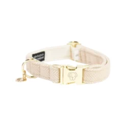 Kentucky Dogwear Hundehalsband Wool 24 Kentucky Dogwear Hundehalsband Wool -Günstiges Bellohaus Geschäft kentucky dogwear hondenhalsband wool 219698 0500 none