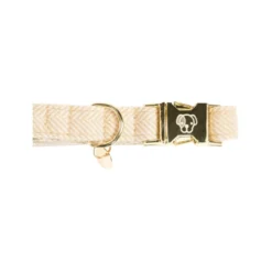 Kentucky Dogwear Hundehalsband Wool 31 Kentucky Dogwear Hundehalsband Wool -Günstiges Bellohaus Geschäft kentucky dogwear hondenhalsband wool 219699 0500 none