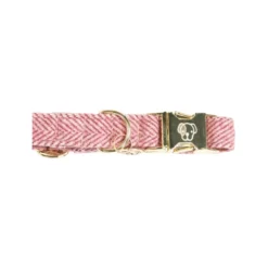 Kentucky Dogwear Hundehalsband Wool 30 Kentucky Dogwear Hundehalsband Wool -Günstiges Bellohaus Geschäft kentucky dogwear hondenhalsband wool 219709 0500 none