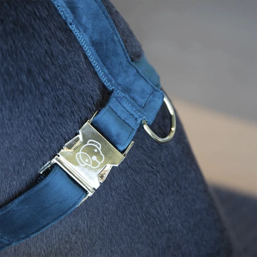 Kentucky Dogwear Hundegeschirr Velvet Loop 10 Kentucky Dogwear Hundegeschirr Velvet Loop - Image 8