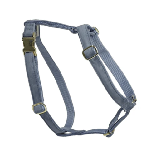 Kentucky Dogwear Hundegeschirr Velvet Loop 9 Kentucky Dogwear Hundegeschirr Velvet Loop - Image 7