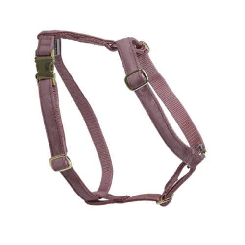 Kentucky Dogwear Hundegeschirr Velvet Loop 8 Kentucky Dogwear Hundegeschirr Velvet Loop - Image 6