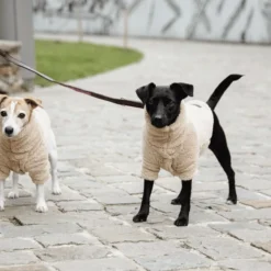 Kentucky Dogwear Hundejacke Teddy Fleece 9 Kentucky Dogwear Hundejacke Teddy Fleece -Günstiges Bellohaus Geschäft kentucky dogwear hondenjas teddy fleece 219186 0500 none