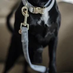 Kentucky Dogwear Hundeleine Wool -Günstiges Bellohaus Geschäft kentucky dogwear hondenlijn wool 219689 0500 none