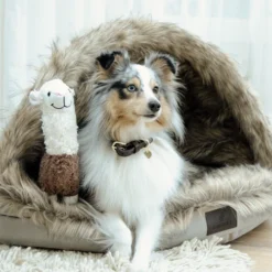 Kentucky Dogwear Iglo Hundekorb -Günstiges Bellohaus Geschäft kentucky dogwear iglo hondenmand 219696 0500 none
