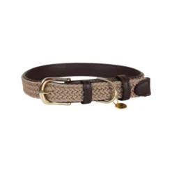 Kentucky Dogwear Nylon Hundehalsband 12 Kentucky Dogwear Nylon Hundehalsband -Günstiges Bellohaus Geschäft kentucky dogwear nylon hondenhalsband 219176 0500 none