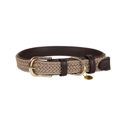 Kentucky Dogwear Nylon Hundehalsband 7 Kentucky Dogwear Nylon Hundehalsband - Image 5