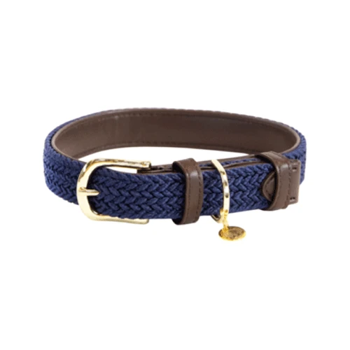 Kentucky Dogwear Nylon Hundehalsband 5 Kentucky Dogwear Nylon Hundehalsband - Image 3