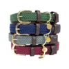 Kentucky Dogwear Nylon Hundehalsband -Günstiges Bellohaus Geschäft kentucky dogwear nylon hondenhalsband 219181 0500 none