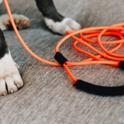 Kentucky Dogwear Schleppleine Soft Rubber -Günstiges Bellohaus Geschäft kentucky dogwear sleeplijn soft rubber 219203 0500 none