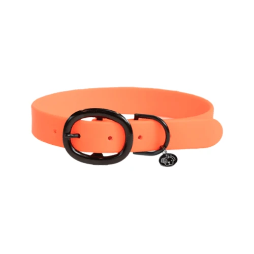 Kentucky Dogwear Soft Rubber Hundehalsband 5 Kentucky Dogwear Soft Rubber Hundehalsband - Image 3
