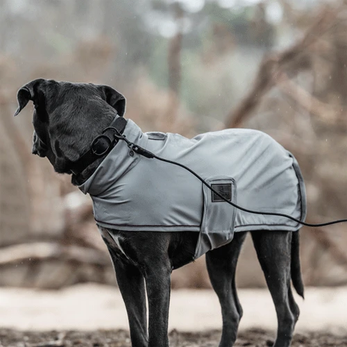 Kentucky Dogwear Soft Rubber Hundehalsband 6 Kentucky Dogwear Soft Rubber Hundehalsband - Image 4