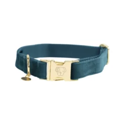 Kentucky Dogwear Velvet Hundehalsband 23 Kentucky Dogwear Velvet Hundehalsband -Günstiges Bellohaus Geschäft kentucky dogwear velvet hondenhalsband 219231 0500 none