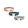 Kentucky Dogwear Velvet Hundehalsband 1 Kentucky Dogwear Velvet Hundehalsband -Günstiges Bellohaus Geschäft kentucky dogwear velvet hondenhalsband 219233 0500 none