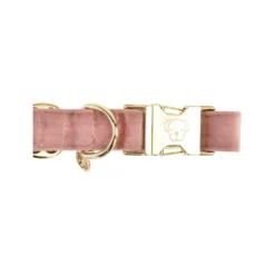 Kentucky Dogwear Velvet Hundehalsband 20 Kentucky Dogwear Velvet Hundehalsband -Günstiges Bellohaus Geschäft kentucky dogwear velvet hondenhalsband 219235 0500 none