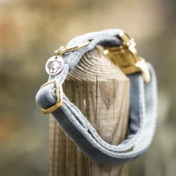 Kentucky Dogwear Velvet Hundehalsband 25 Kentucky Dogwear Velvet Hundehalsband -Günstiges Bellohaus Geschäft kentucky dogwear velvet hondenhalsband 219236 0500 none