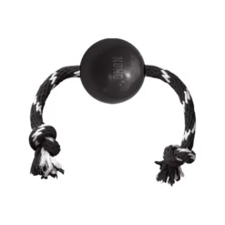 KONG Extreme Ball Mit Seil