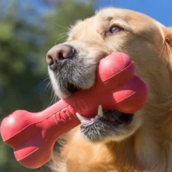 KONG Goodie Bone 8 KONG Goodie Bone -Günstiges Bellohaus Geschäft kong goodie bone 194186 0500 none