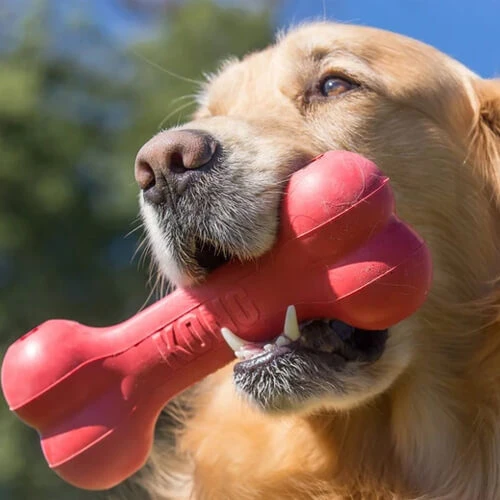 KONG Goodie Bone 5 KONG Goodie Bone - Image 3