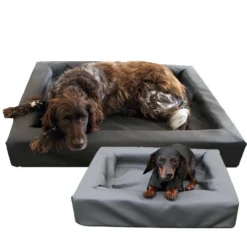 Lounge Dogbed