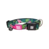 Max & Molly Smart ID Halsband Tropical -Günstiges Bellohaus Geschäft max molly smart id halsband tropical 184288 0500 none