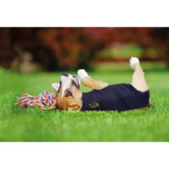 Medical Pet Shirt Hund -Günstiges Bellohaus Geschäft medical pet shirt hond 149981 0500 none