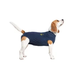 Medical Pet Shirt Hund -Günstiges Bellohaus Geschäft medical pet shirt hond 167419 0500 none