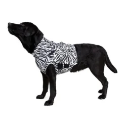 Medical Pet Top Shirt Zebra