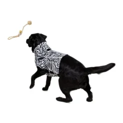 Medical Pet Top Shirt Zebra -Günstiges Bellohaus Geschäft medical pet top shirt zebraprint 150701 0500 none