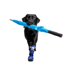 Medical Pet Shirt Boot -Günstiges Bellohaus Geschäft medical pets boot 167482 0500 none