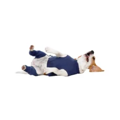 MPS-HLS Hinterbeinschutz -Günstiges Bellohaus Geschäft mps hls achterpootmouwtjes 167440 0500 none