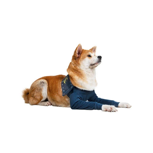 MPS-TAZ2 Vorderpfotenschutz 5 MPS-TAZ2 Vorderpfotenschutz - Image 3