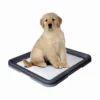 Nobby Doggy Trainer & Pads 1 Nobby Doggy Trainer & Pads -Günstiges Bellohaus Geschäft nobby doggy trainer 130274 0500 none