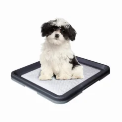 Nobby Doggy Trainer & Pads -Günstiges Bellohaus Geschäft nobby doggy trainer 130277 0500 none