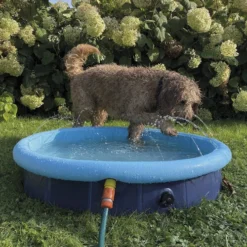 Nobby Hundepool Mit Sprinkler -Günstiges Bellohaus Geschäft nobby hondenzwembad met fontein 204254 0500 none