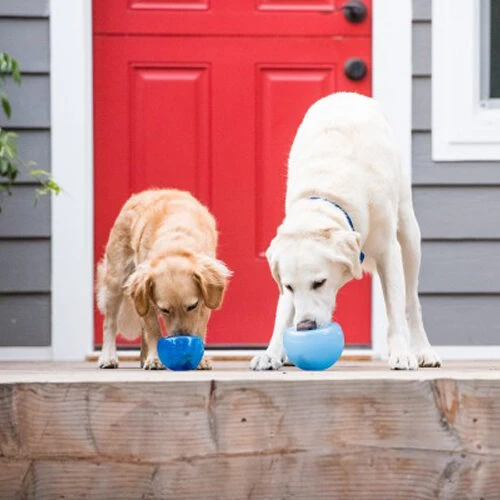 Planet Dog Orbee-Tuff Lil’ Snoop Toy 12 Planet Dog Orbee-Tuff Lil’ Snoop Toy - Image 10