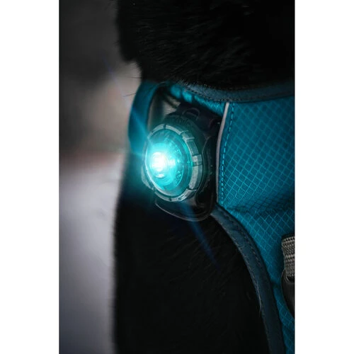 Orbiloc Dog Dual Safety Light 5 Orbiloc Dog Dual Safety Light - Image 3