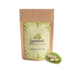 Organimal Verhalten In Balance